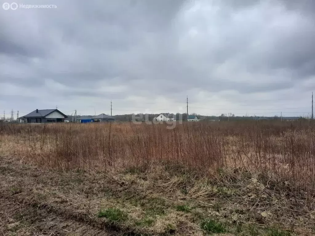 Участок в Зеленоградск, посёлок Клинцовка (7 м) - Фото 1