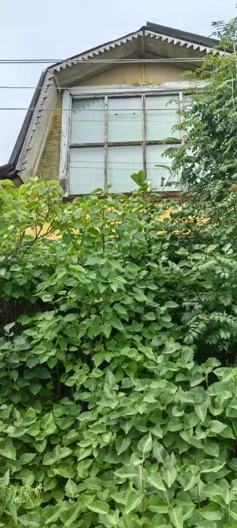 Участок в Свердловская область, Екатеринбург Управление Коммунальных ... - Фото 1