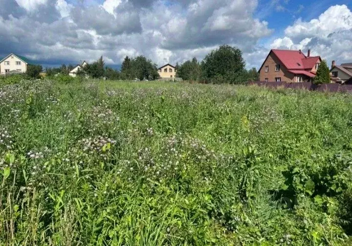 Участок в Московская область, Дмитровский муниципальный округ, д. ... - Фото 1