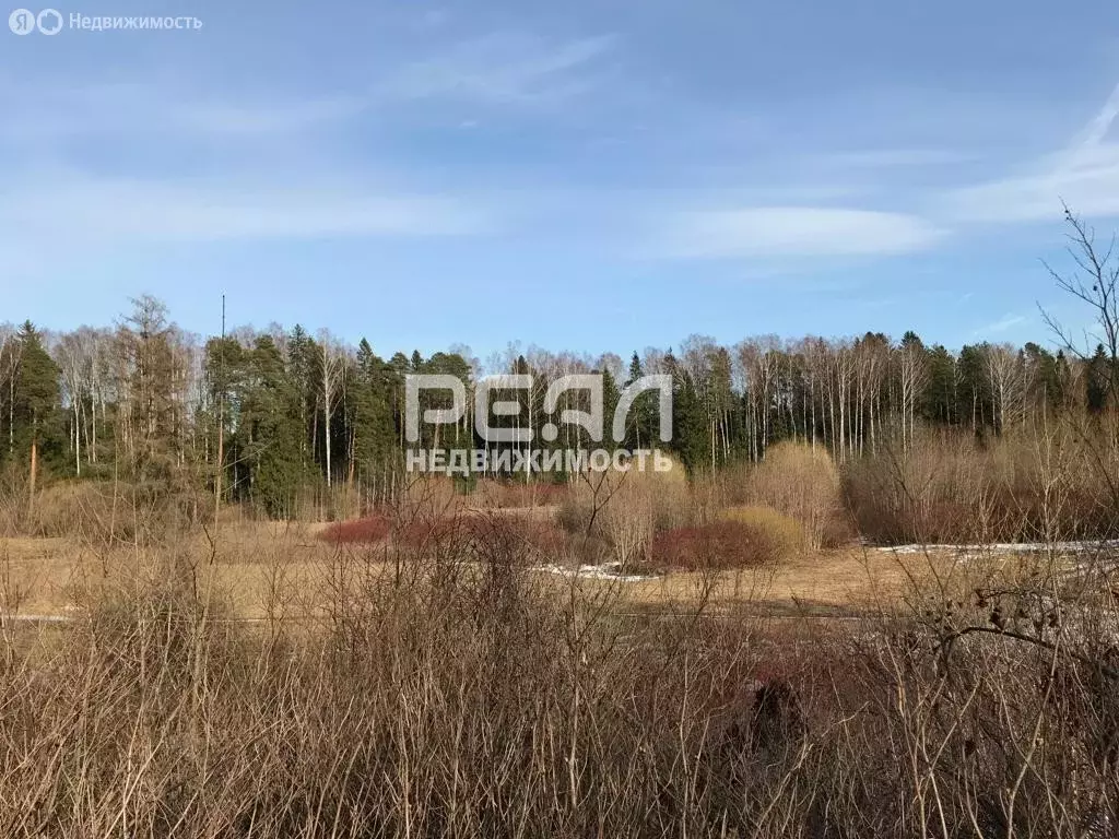 Участок в посёлок Тярлево, Парковая улица, 5 (13 м) - Фото 1