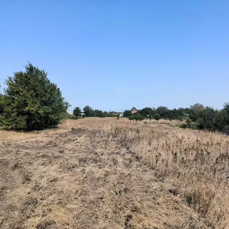 Участок в Краснодарский край, Ейский район, Кухаривское с/пос, ... - Фото 2