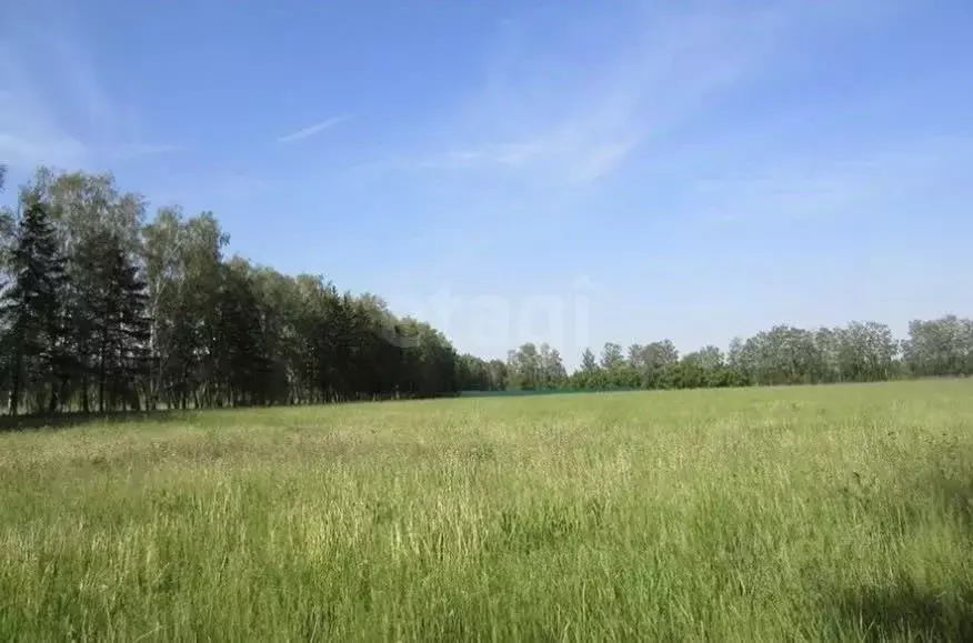 Участок в Татарстан, Верхнеуслонский район, Введенско-Слободское ... - Фото 1