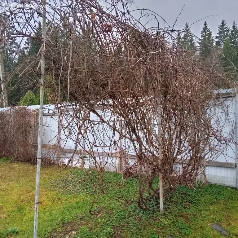 Дом в Московская область, Дмитровский муниципальный округ, СНТ ... - Фото 1