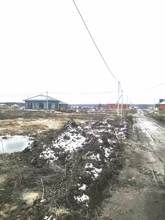 Участок в Марий Эл, Медведевский район, Руэмское с/пос, д. Крутой ... - Фото 2