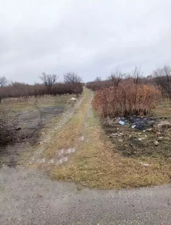 Участок в Краснодарский край, Ейск Весна садоводческое товарищество,  ... - Фото 1