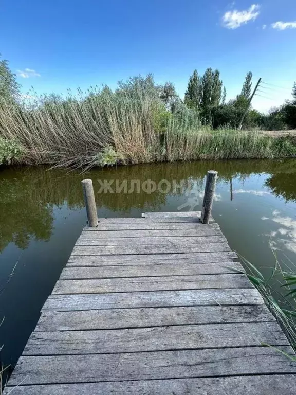 Дом в Астраханская область, Наримановский район, с. Новокучергановка ... - Фото 2