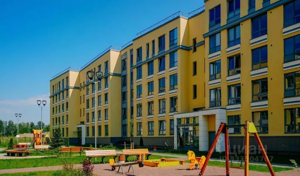 Студия Санкт-Петербург пос. Шушары, ул. Нины Петровой, 5к1 (24.17 м) - Фото 1