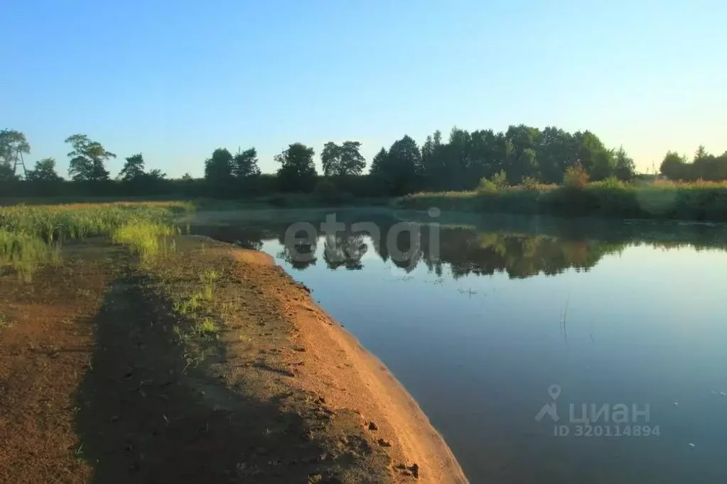Участок в Ярославская область, Ярославский муниципальный округ, д. ... - Фото 1