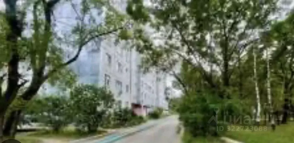 3-к кв. Приморский край, Уссурийск ул. Агеева, 58 (66.5 м) - Фото 1