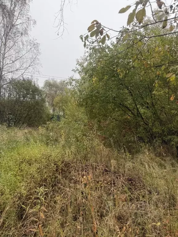 Дом в Калужская область, Жуковский муниципальный округ, Корсаково ... - Фото 2