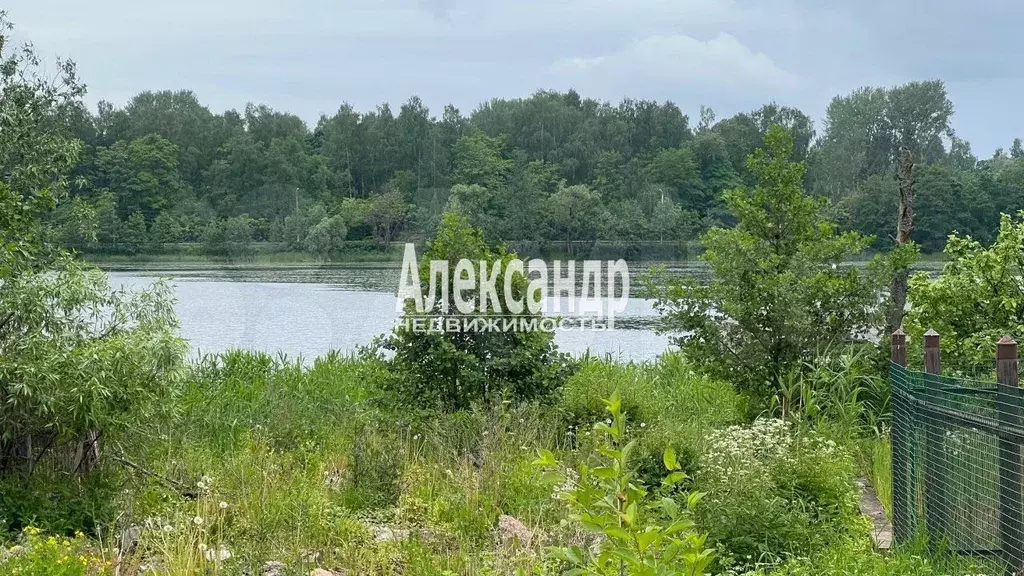 Участок 12 сот. (ИЖС) - Фото 0