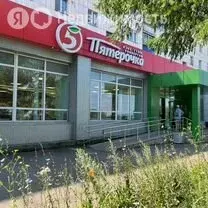 Помещение свободного назначения (555.5 м) - Фото 1