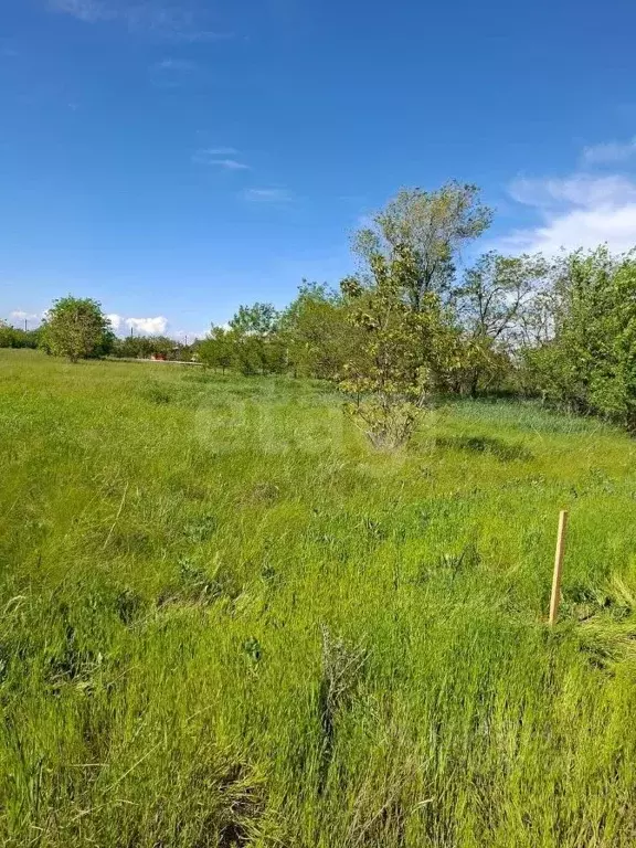 Участок в Краснодарский край, Ейский район, Кухаривское с/пос, с. ... - Фото 2