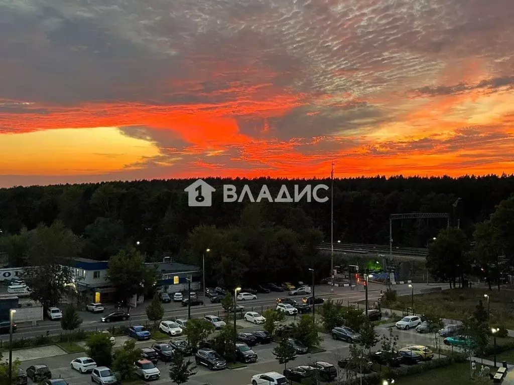 2-к кв. Москва Боровское ш., 2Ак4 (46.9 м) - Фото 2