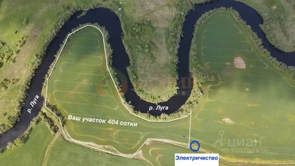 Участок в Ленинградская область, Лужский район, Дзержинское с/пос, д. ... - Фото 1