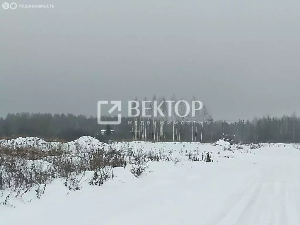 Участок в Кострома, коттеджный посёлок Первый, Боговаровский проезд, 1 ... - Фото 1