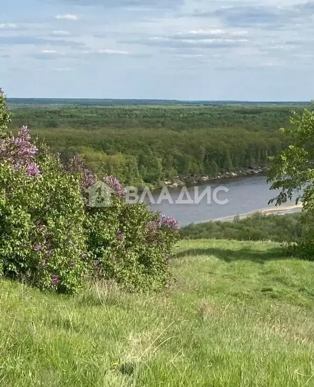 Участок в Нижегородская область, Пильнинский муниципальный округ, д. ... - Фото 1