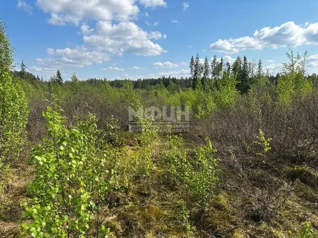 Участок в Карелия, Петрозаводск ул. Верхняя Неглинка (10.0 сот.) - Фото 1