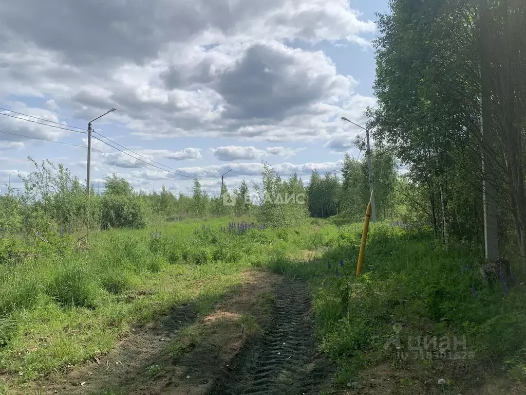 Участок в Владимирская область, Вязники ул. Юбилейная (19.2 сот.) - Фото 1