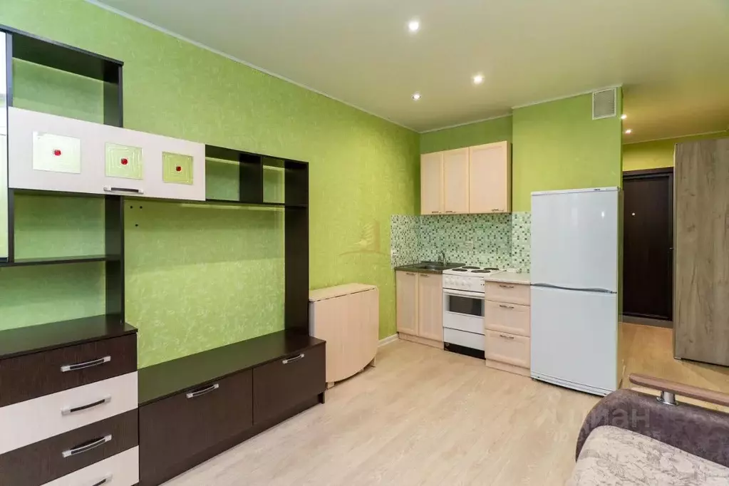 Студия Новосибирская область, Новосибирск ул. Виктора Уса, 13 (19.7 м) - Фото 1