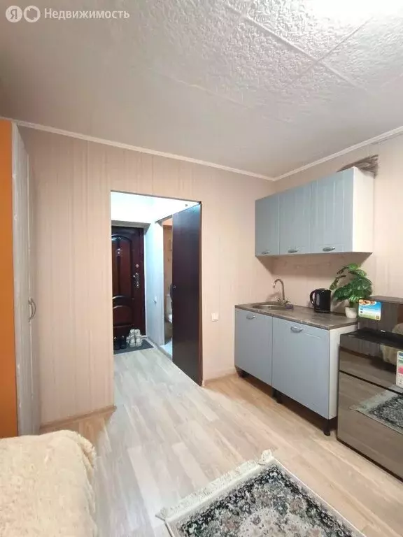 1-комнатная квартира: Екатеринбург, проспект Космонавтов, 56 (17.6 м) - Фото 1