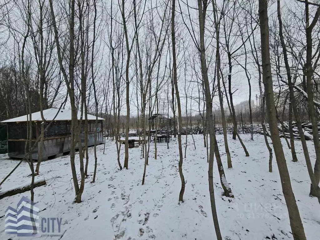 Участок в Московская область, Балашиха ул. Дмитриева (10.0 сот.) - Фото 0