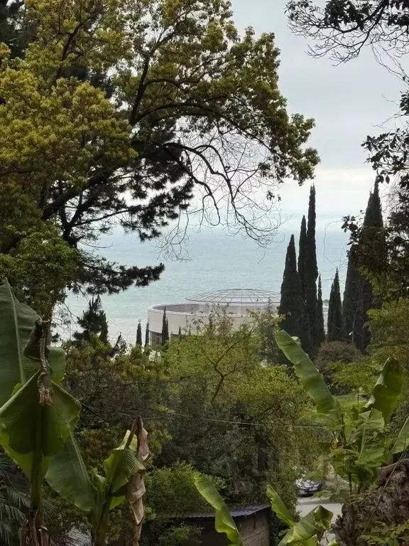 Дом в Краснодарский край, Сочи Хоста жилрайон, ул. Шоссейная, 17/11А ... - Фото 0