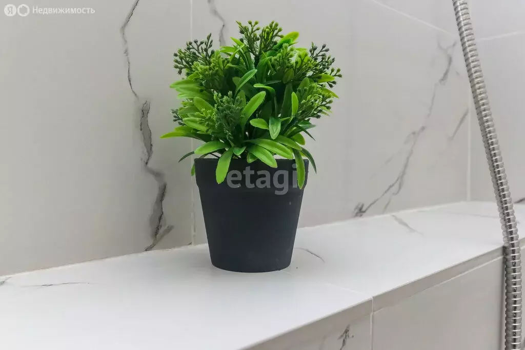 Квартира-студия: деревня Дударева, улица Сергея Джанбровского, 1 (24 ... - Фото 2