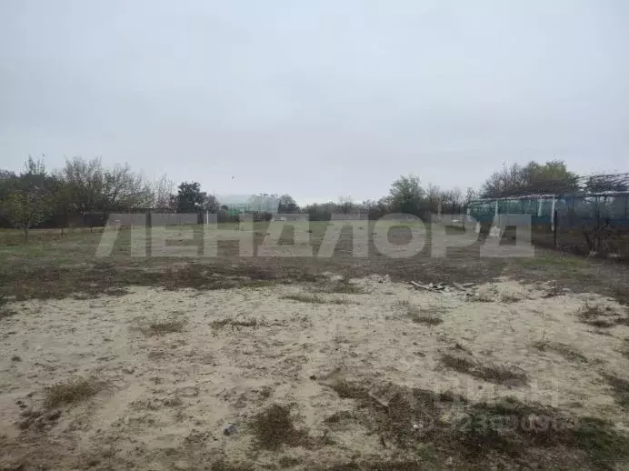 Участок в Ростовская область, Октябрьский район, Кривянское с/пос, ... - Фото 2