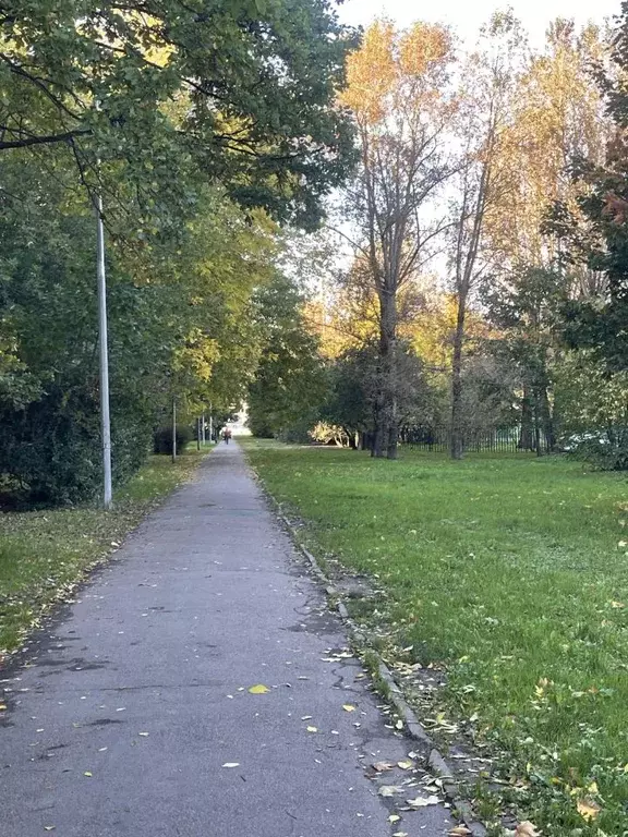 3-к кв. Санкт-Петербург Варшавская ул., 29К1 (57.7 м) - Фото 2