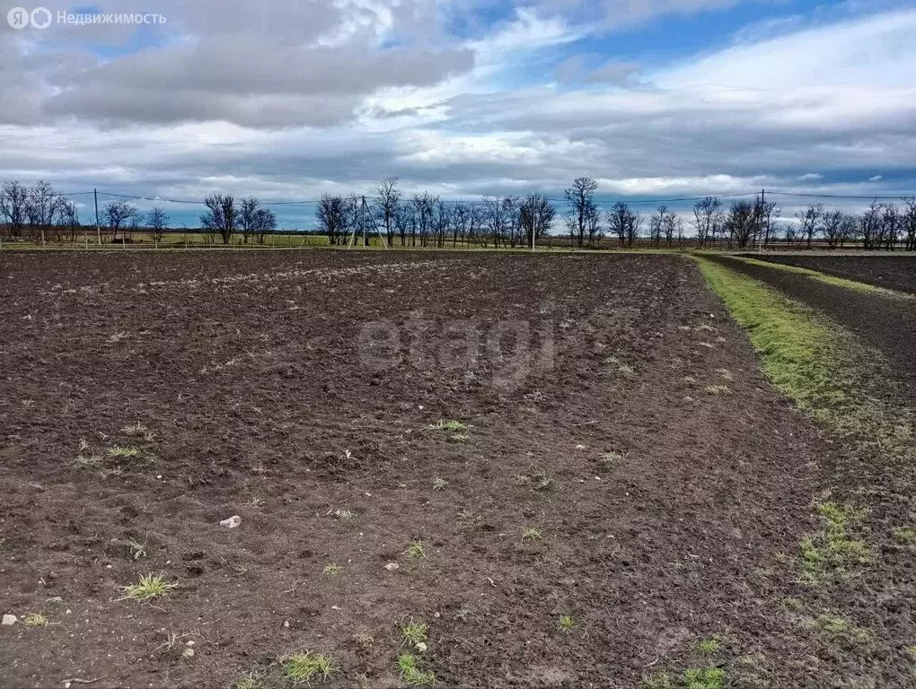 Участок в Пушкинское сельское поселение, село Маковка, Виноградная ... - Фото 1