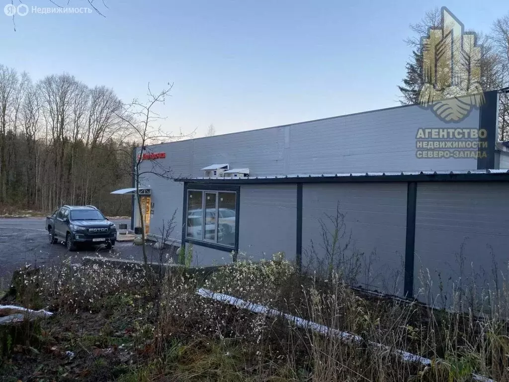 Помещение свободного назначения (45 м) - Фото 2