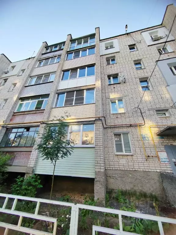 2-к кв. Нижегородская область, Бор ул. Чугунова, 16 (50.2 м) - Фото 0