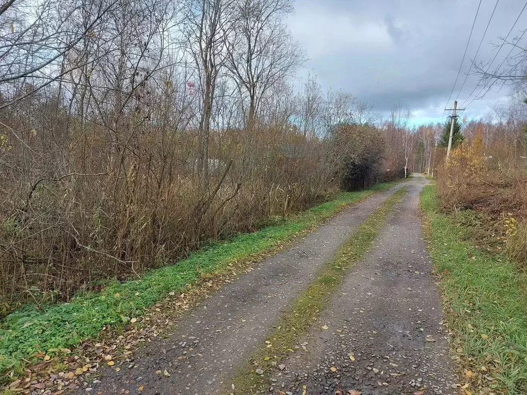 Участок в Московская область, Орехово-Зуевский городской округ, Ивушка ... - Фото 0