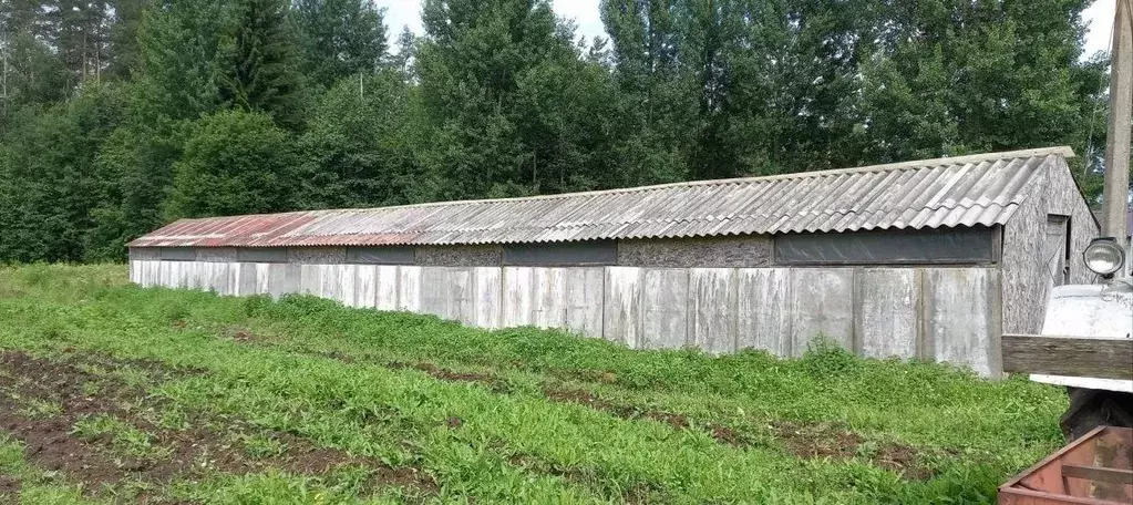 Участок в Ленинградская область, Выборгский район, Рощинское городское ... - Фото 0