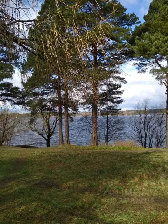 Дом в Тверская область, Конаково Грэсовский проезд (150 м) - Фото 2