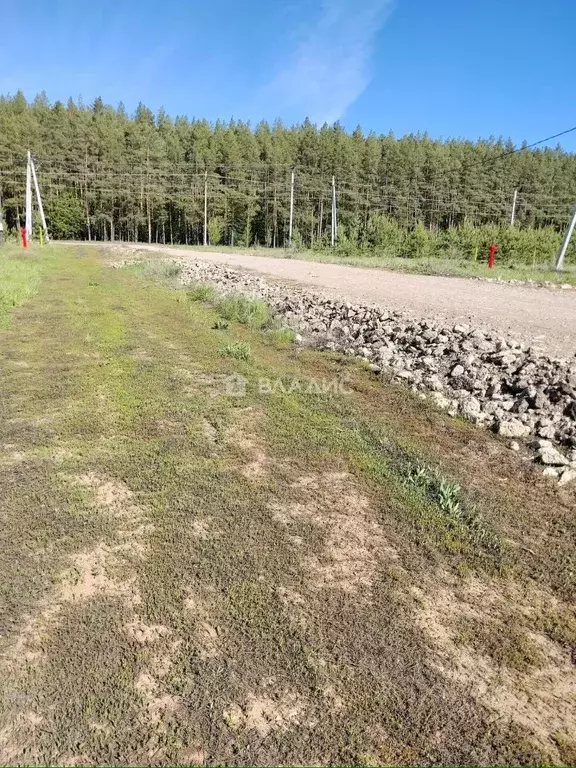 Участок в Татарстан, Нижнекамский район, Афанасовское с/пос, с. Нижнее ... - Фото 1
