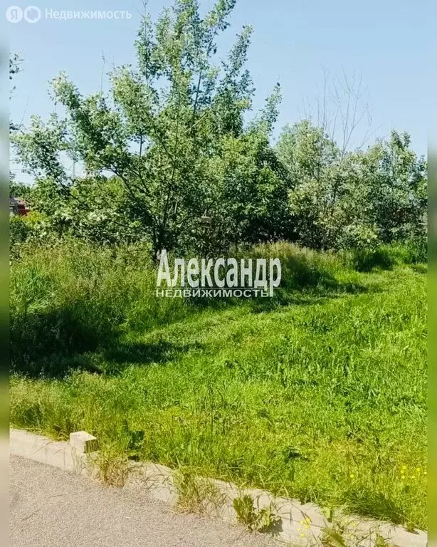 Участок в Коммунар, массив Ижора (7 м) - Фото 2