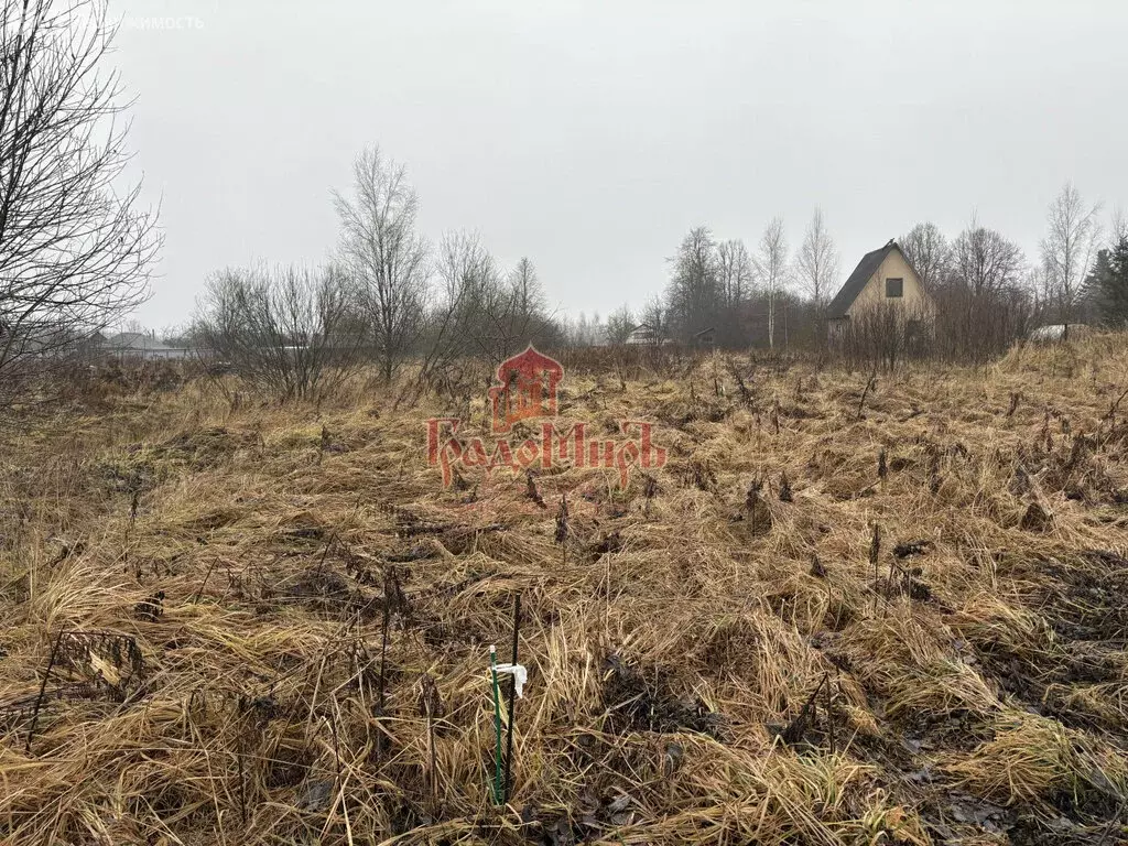 Участок в Сергиево-Посадский городской округ, деревня Новожёлтиково ... - Фото 1