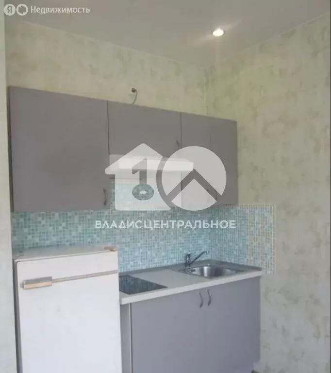 1-комнатная квартира: Новосибирск, улица Виктора Уса, 11 (20 м) - Фото 1