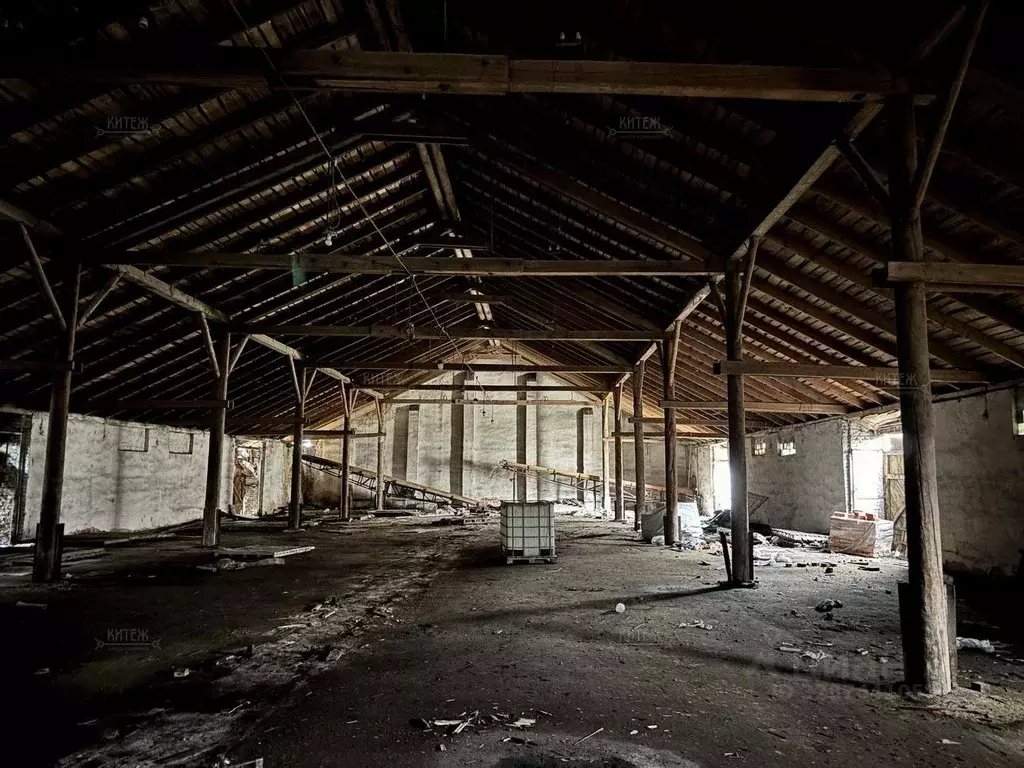 Склад в Калужская область, Калуга Тарутинская ул., 2А (1100 м) - Фото 2