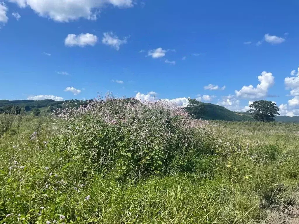 Участок в Приморский край, Шкотовский муниципальный округ, Шкотово пгт ... - Фото 1