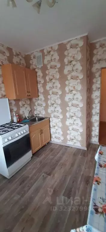 1-к кв. Ульяновская область, Димитровград ул. Курчатова, 34А (29.2 м) - Фото 0