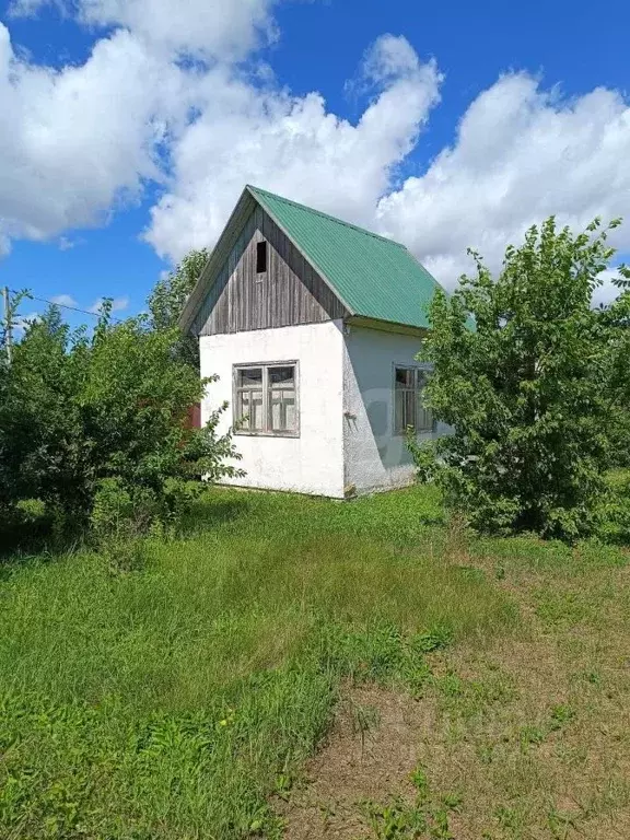 Участок в Амурская область, Благовещенский район, с. Владимировка  ... - Фото 2