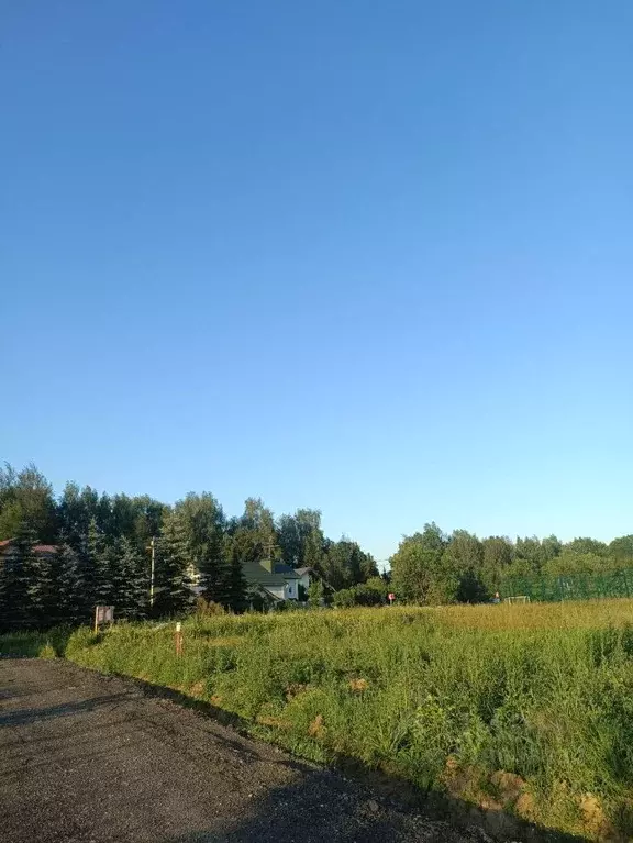 Участок в Московская область, Мытищи городской округ, д. Фелисово, ... - Фото 0