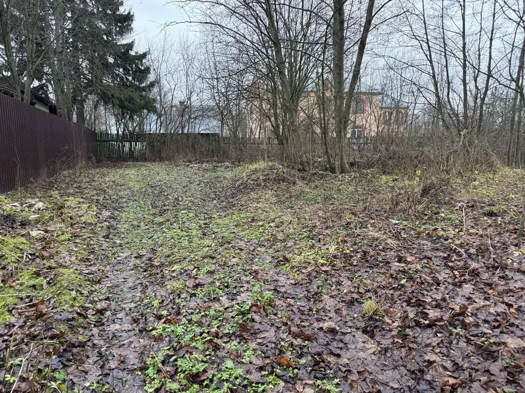 Участок в Московская область, Пушкинский городской округ, Софрино пгт  ... - Фото 1