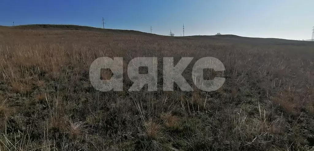 Участок в Волгоградская область, Городищенский район, Царицынское ... - Фото 1