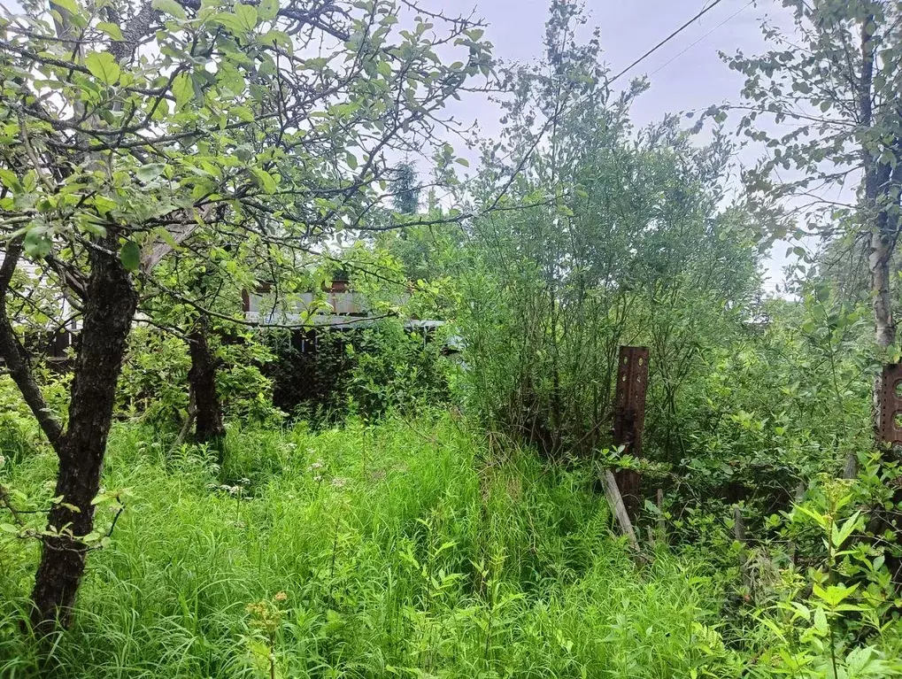 Участок, 10.8 сот., сельхоз (снт или днп) - Фото 0