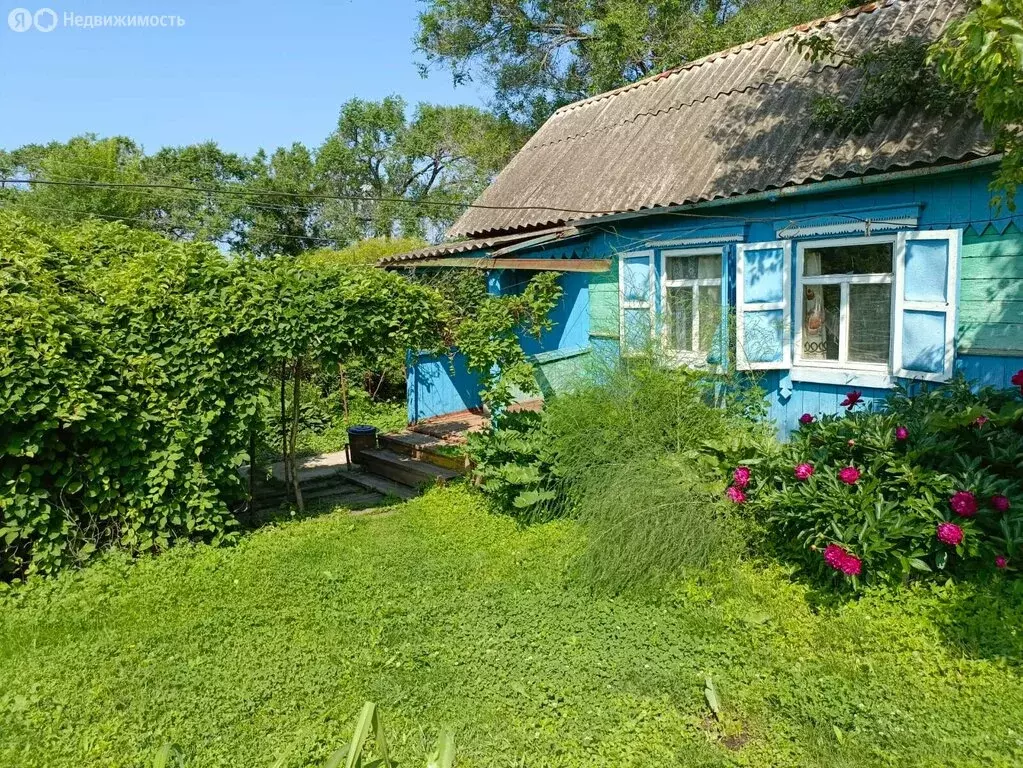 Дом в село Осиновка, Ленинская улица, 161 (40.4 м) - Фото 1