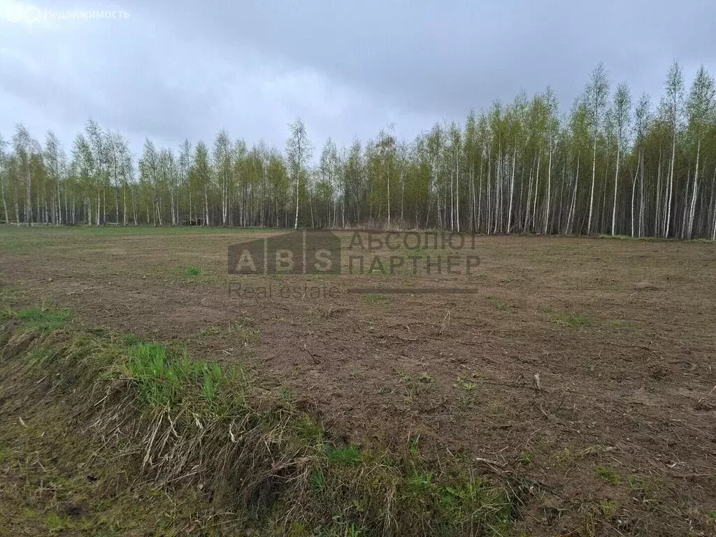 Участок в Новгородский муниципальный район, Ракомское сельское ... - Фото 2